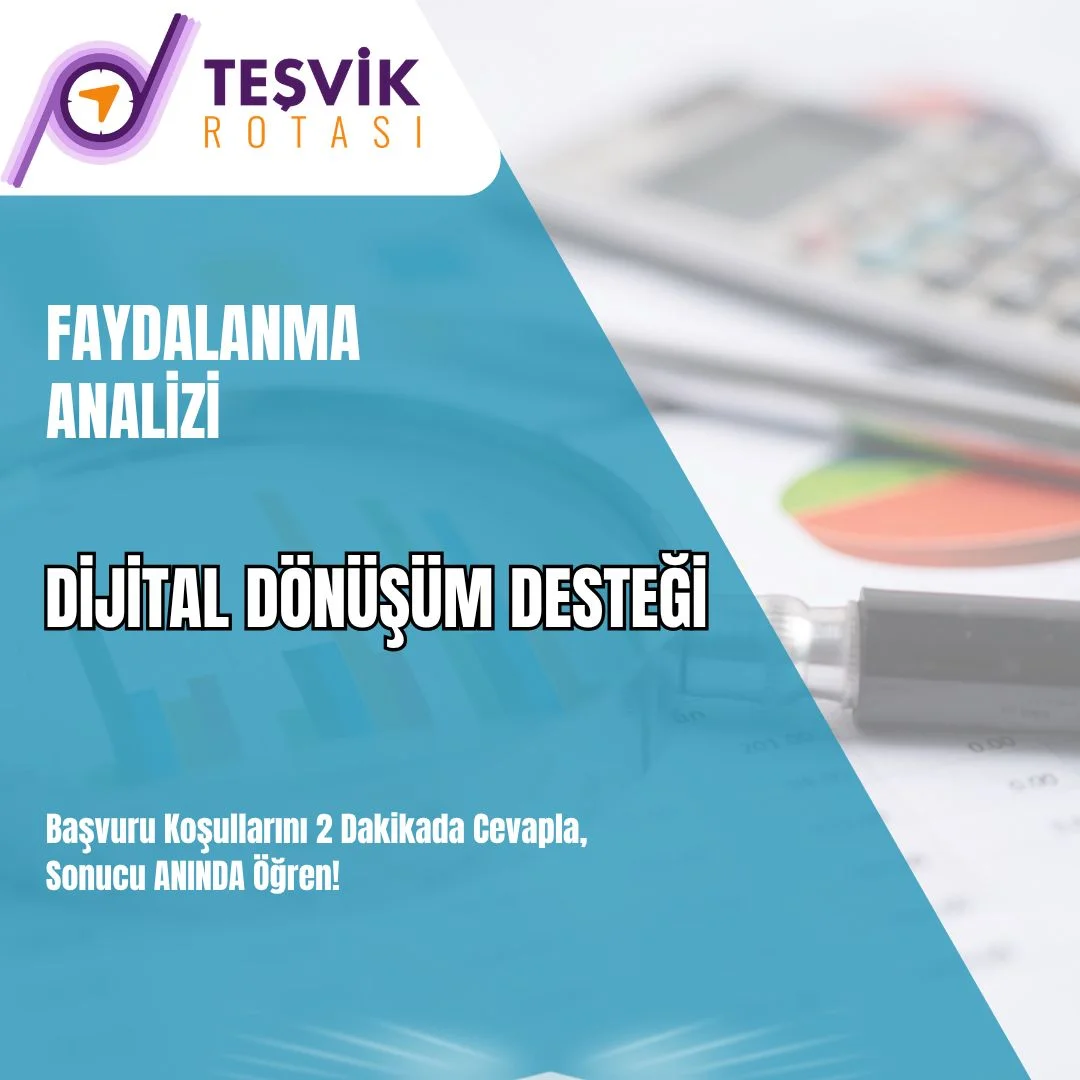 faydalanma analizi dijital donusum destegi